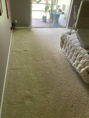 Honor Carpet Cleaning