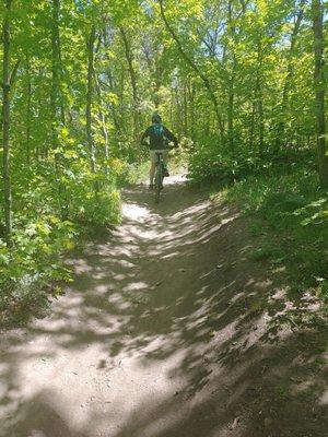 Bikers on trail