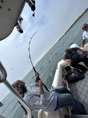 Reeling in a oversized striped bass released to live another day