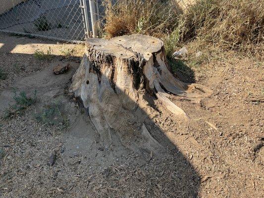 RC Stump Grinding