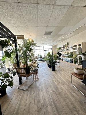 Namoo Plant Shop