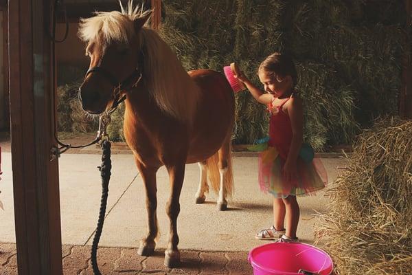 A Pony Playce guest brushing Charm - one of the many things you get to do on a Pony Play Date!