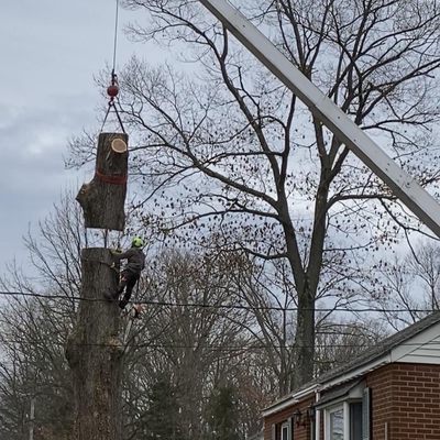 Total Lawn And Tree Service