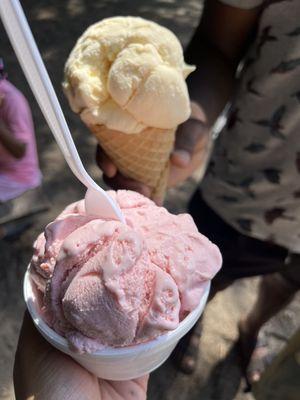 Single scoop of strawberry $4 + single scoop of vanilla on a waffle cone $6