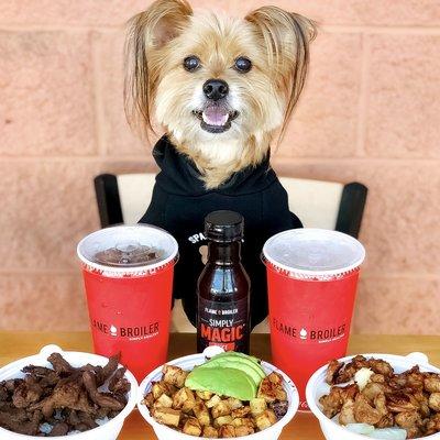 IG @FoodandPooch