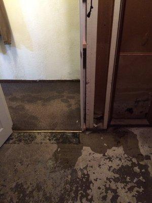 Flooding and mold