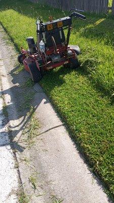 Freshly cut lawn