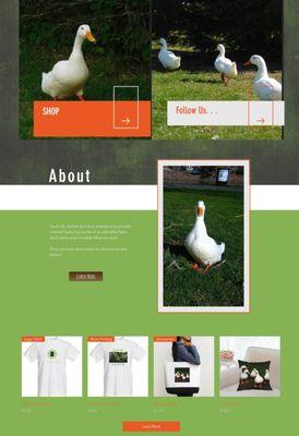 A web design created for one of our clients: Duck Sak Prints.