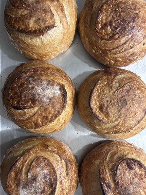 Salted Olive Oil Sourdough