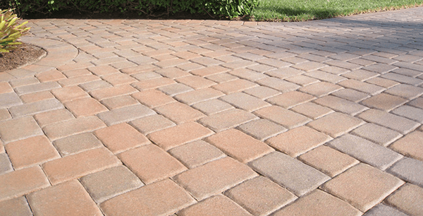 Freshly power washed and sealed pavers.