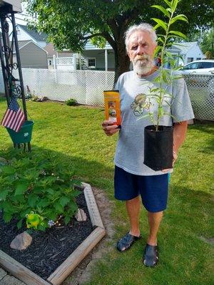 The proud papa of a new butterfly-attracting milkweed from Eastern Monarch Farms, a happy Father's Day indeed!