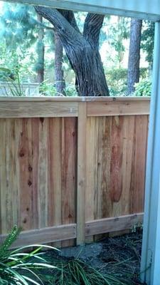 New fence