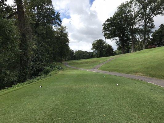 My favorite hole. There's a fairway there somewhere.