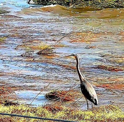 Just a lazy Sunday afternoon waiting for a fish to swim by :)