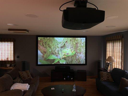 Sony projector with 120 inch Dragonfly ALR screen