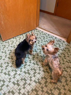 These boys patiently wait for mama.