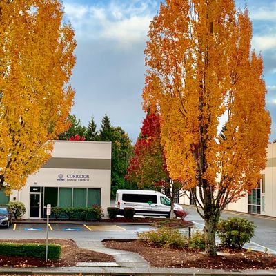 Church building g in the fall