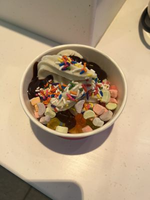 Hot fudge, marshmallows, gummi bears, sprinkles, birthday cake fro yo and chocolate fro yo