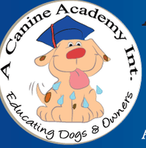 A Canine Academy International