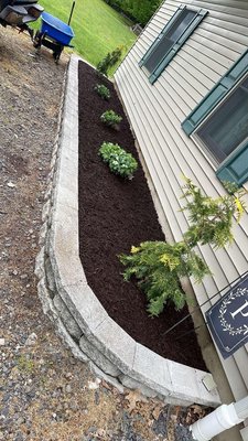 A mulch job we did, the old mulch was aged and dull, so we refreshed it with some new dark brown mulch!