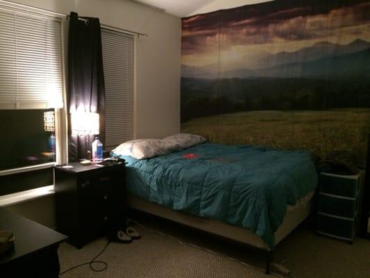 The bedroom (was furnished by me) of the 1 bedroom. Plenty of space and super high ceilings. Had a fairly large closet with built-in shelves