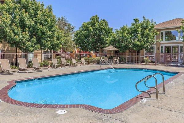 Sparkling swimming pool