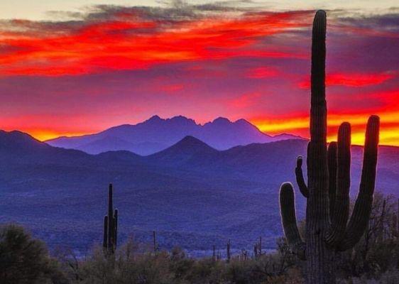 Serving buyers & sellers who desire a place to call home in the beautiful Sonoran Desert.