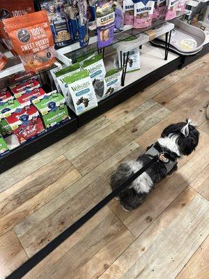 Another day at home goods for treats!