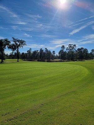 The fairways look great.