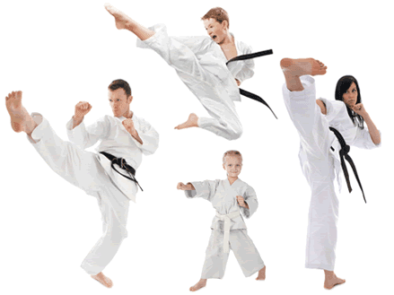 Mentor Martial Arts Academy