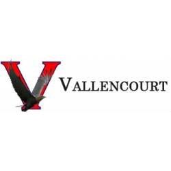 Vallencourt Inc.