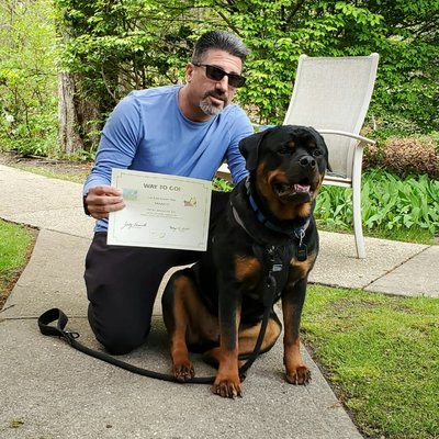 Mando, a Graduate of our Obedience Training Program.