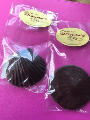 Delicious dark chocolate seashell and sand dollar