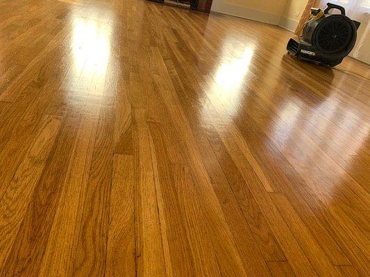 Wood floor cleaning and sealing.