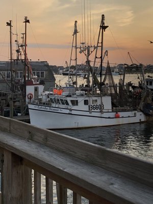 View from deck