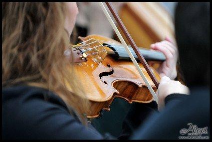 Shawna Trost - Sarasota Professional Violinist