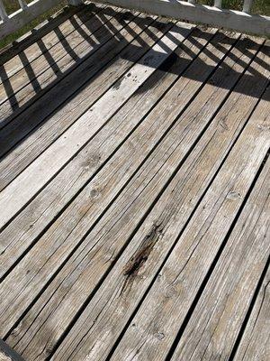 Exposed nails, loose rotten wood all over deck