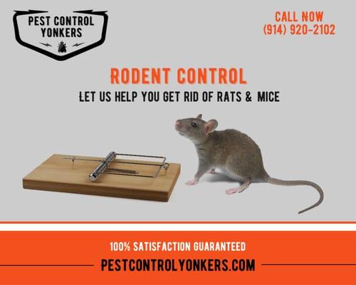 Rodent Control