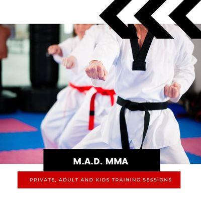 We are open and offering private classes and adult or kids training sessions Monday  Friday!  Call and ask about your first free class!