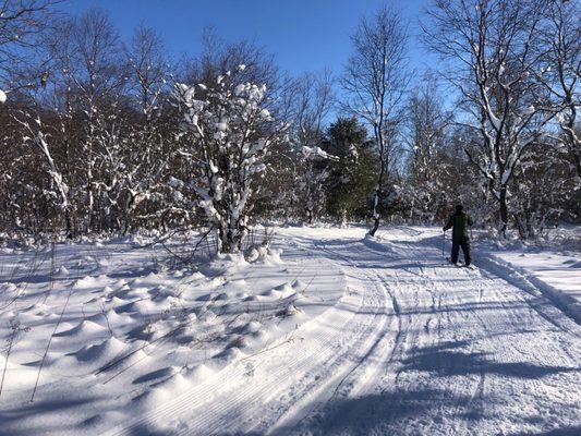 Ski trails - groomed for skate skiing and classic