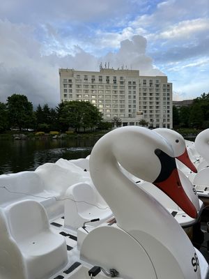 Our Classic Swan Paddle Boats