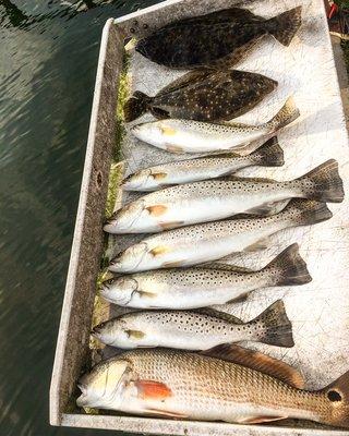 Good fall mixed bag