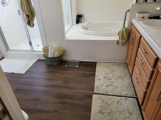 Master bathroom, formerly cheap linoleum and CARPET