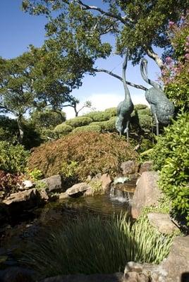 Water feature in Marin