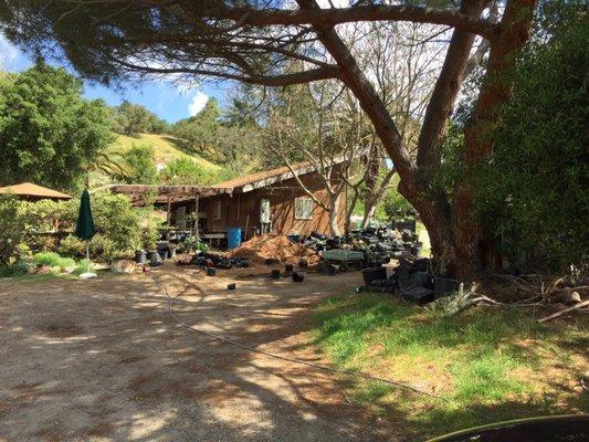 Office area of Manzanita Nursery as seen from the parking area.