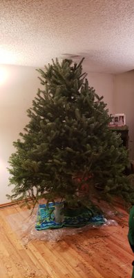 Christmas tree 2018