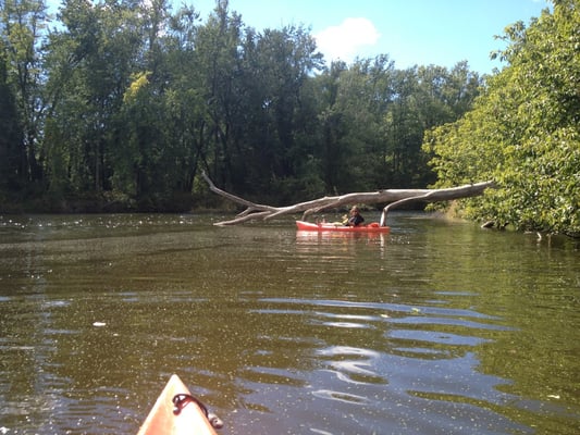 Great views on the river!