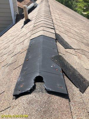 This iis a roof ridge vent that squirrels have chewed through to get in home.