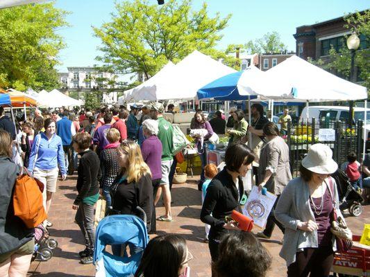 Busy morning at the Market.