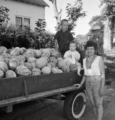 Raised in Oakland City, Indiana, Ted grew up on a farm growing watermelons, tomatoes, and cantaloupes, and raising pigs and cattle.